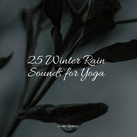 Windy Rain Weather - Rain Sounds XLE Library & Música para Massagem Especialistas & Baby Lullabies Music