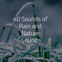 Calming Ocean - Chakra Balancing Sound Therapy & Sounds Of Nature : Thunderstorm & Baby Sleep Lullaby Academy