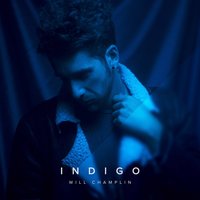 Indigo - Will Champlin