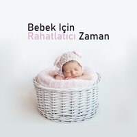 Doğa Sesleri - Bebek Uyku Ninnileri