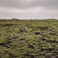 Toque Relajante - Dormir & Meditar Profundamente & Sonidos de la Naturaleza para Dormir