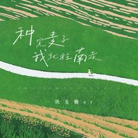 种完麦子我就往南走 - 一块姜糖er