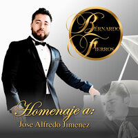 Camino de Guanajuato (En Vivo) - Bernardo Fierros