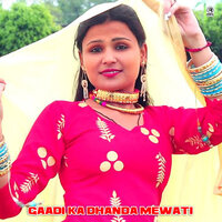 Gaadi ka Dhanda Mewati - Sahin Khan Mewati