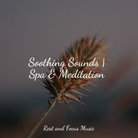 Walking Through the Woodland - White Noise for Baby Sleep & Classical Lullabies & Monarch Baby Lullaby Institute