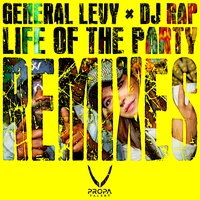 Life of the Party - DJ Rap & General Levy