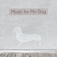 Horizon Full of Promises - Music for Dog's Ears & Animal and Bird Songs & Dormir Bien