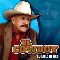 Voy a Tirarme a los Vicios - El Cowboy
