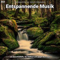 Entspannende Musik pt. 41 - Entspannungsmusik Bodo Steier & Schlafmusik & Entspannungsmusik