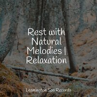 Life Renew - Sounds of Nature White Noise for Mindfulness Meditation and Relaxation & Spa & Spa & meditacou musica ambiente