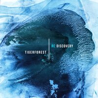 Azure - Tigerforest & Weber & Weber