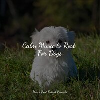 Serenity Ocean - Music for Calming Dogs & Music for Leaving Dogs Home Alone & Calming Music for Dogs