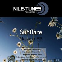 Landscape - Sunflare & Space Garden