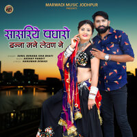 Sasriye Padharo Banna Mane Levan Ne - Sunil Borana & Isha Bhati