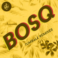 Because You - Bosq & Danielle Moore