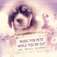 Good Behaviour - Pet Music Academy