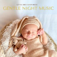 Lullaby - Little Ones Sleep Music