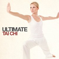 Tai Chi-Five - Global Journey