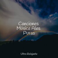 Las Olas Van Y Vienen - meditación Interna & Relaxamento Sons da Natureza Ruído Branco Musicas Clube & Dormir Mucho