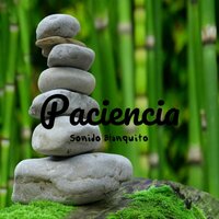 Diferente e Mesmo - Sonido Blanquito