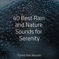 Rain, Drain, Cement, Lawn - Lush Rain Creators & Meditacao Clube & Native American Flute