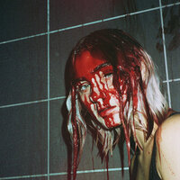 American Beauty - Jay Cribbs