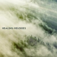 Midnight Call - Relaxing Music Therapy & Meditation Music therapy & Zen Healing Melodies