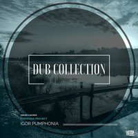 I Can't Stop My Self - Igor Pumphonia