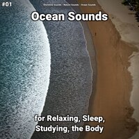Ocean Sounds Part 20 - shoreline sounds & Nature Sounds & Ocean Sounds