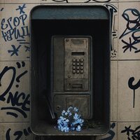 Незабудки - ЕГОР КРИД