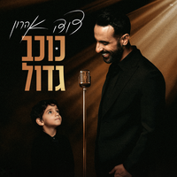 נופל לבור - Dudu Aharon