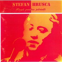 Ochii Tăi - Stefan Hrusca