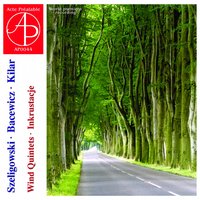 Wind Quintet: III. Allegretto - Kwintet Dety Filharmonikow Krakowskich