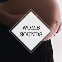Womb Sounds (Loopable, No Fade) - Baby Sleep Spot