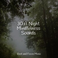 Moonlit Pleasures - Guided Meditation Music Zone & Best Relaxing Spa Music & Preschool Kids