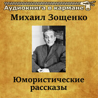 Пассажир - Аудиокнига в кармане & Олег Исаев