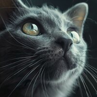 Ginger’s Gentle Grooves - Cat Songs & Dips And Daps & Good Morning Music