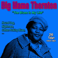 Tarzan and the Dignified Monkey - Big Mama Thornton