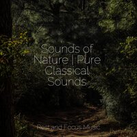 Moon Gazing - White Noise for Babies & White Noise Baby Sleep & Powerthoughts Meditation Club