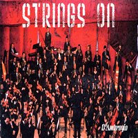 Strings On - D'Ambrogio