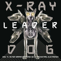 Captivated - X-Ray Dog