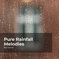 Tuneful Thrumming Rain - Rain Sounds & Rain Storm Sample Library & Natural Rain Sounds for Sleeping