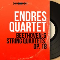 String Quartet No. 6 in B-Flat Major, Op. 18 No. 6: I. Allegro con brio - Endres Quartet & Ludwig van Beethoven