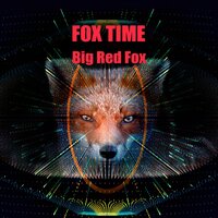 Evening - Big Red Fox