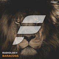 Baracuda - Radiology