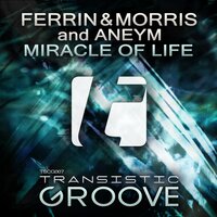 Miracle Of Life - Ferrin & Morris & Aneym