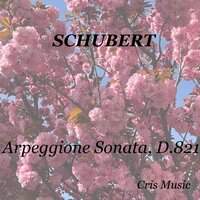 Schubert: Arpeggione Sonata, D.821: I. Allegro moderato - Myra Hess & Theo Van der Pas & Emanuel Feuermann & Франц Шуберт