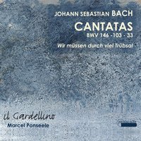 Cantata No. 146, "Wir müssen durch viel Trübsal", BWV 146: V. Aria: "Ich säe meine Zähren" - Caroline Weynants & Johann Sebastian Bach