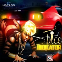 Indicator - Spice