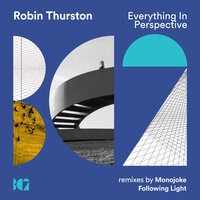Everything in Perspective - Robin Thurston & Following Light
